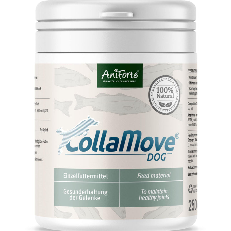 AniForte CollaMove Collagen Joint Powder for Dogs 250g - Collagen to support joints, tendons and ligaments - Natural product to maintain joint function and agility - PawsPlanet Australia