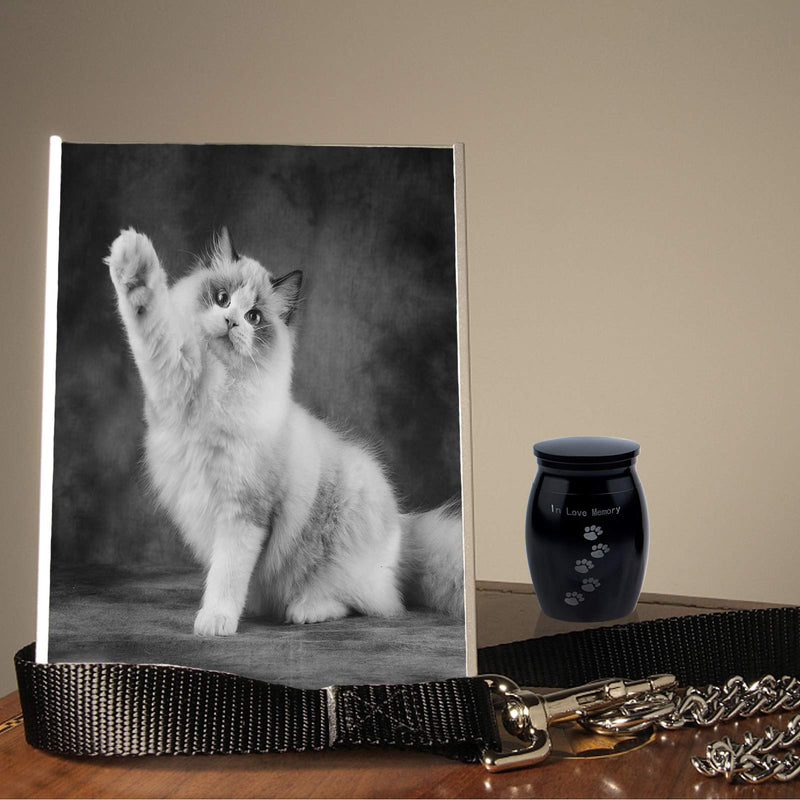 N/W Pet Urns for Dogs Ashes, Pet Urn Dog Urns for Ashes, Pet Memorial Urns Small Urns for Pet Ashes, Mini Cremation Urns Keepsake Urn for Pet Dog Cat to Remember Your Love (Black) - PawsPlanet Australia