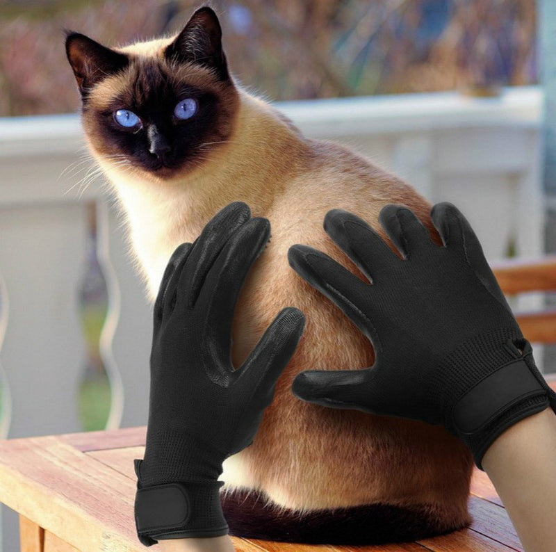 Bestbuy Grooming Gloves - Improved Five Finger Design Rubber Glove Gentle Hair Removal Brushes for Cats, Dogs and Horses (Black) Black - PawsPlanet Australia