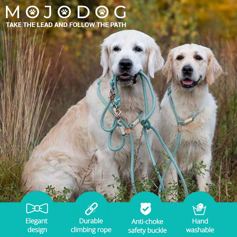 Treewix MOJODOG Anti-Choke Slip Lead Dog Leash - for Medium and Large Breeds - for Walking, Training and Heavy Pullers - Great Gift for Dog Lovers - Reflective 1/2" Climbing Rope 6 ft I Sea Green - PawsPlanet Australia