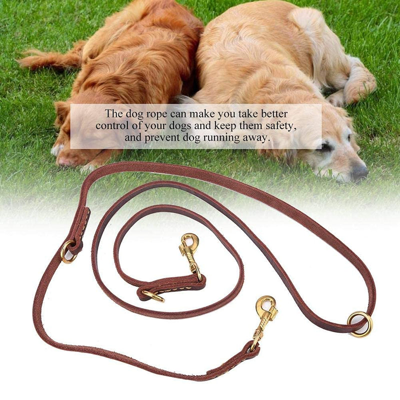 Dog leash, multifunctional slip walking training leash with metal clasp, high-performance rope leash with double copper hook, dog leash for large dogs or as a towing leash for small dogs - PawsPlanet Australia