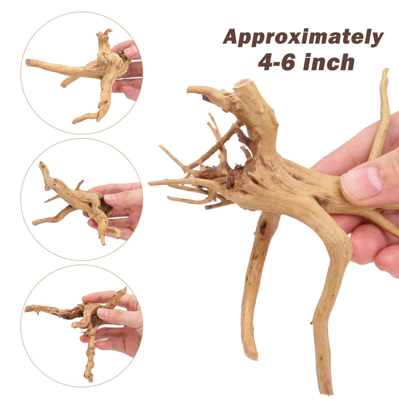 SERJOOC 6Pcs Aquarium Driftwood Spider Wood Ornament for Fish Tank Natural Branches Decorations (4in-6in) - PawsPlanet Australia