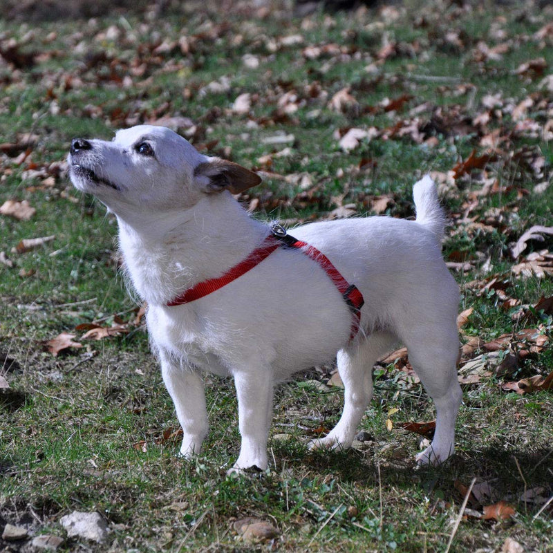 [Australia] - Size Right Adjustable Harness - Dog Harness - Blue - Girth 18" to 24", Width 5/8" 