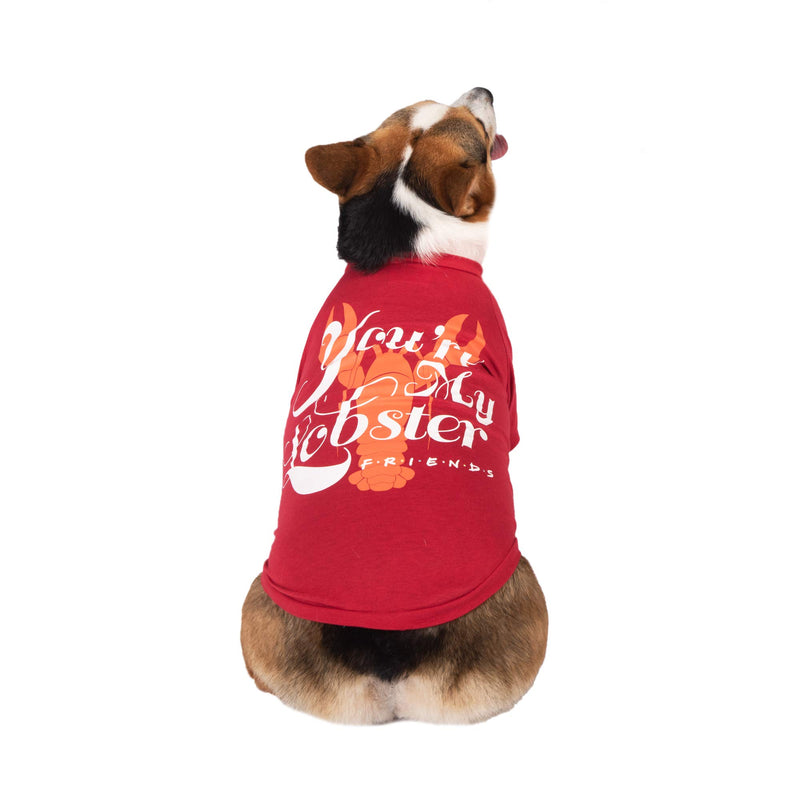 [Australia] - Warner Bros Friends TV Show "You're My Lobster" Dog T Shirt in Red | Soft and Comfortable Dog Shirt, Available in Multiple Sizes | Machine Washable Pull-Over Dog Tshirt Large 