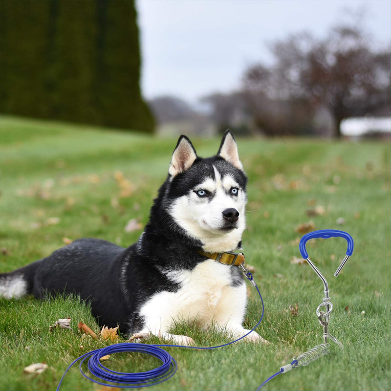 AK KYC Dog Tie Out Cable and Stake 30ft with Reinforced Metal Snaps and Buffer Spring,Runner with Dog in The Yard,Training in Travel, Camping and Outdoor - PawsPlanet Australia