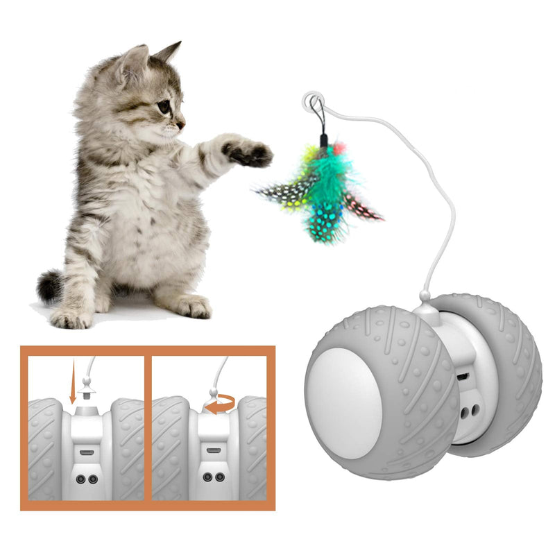 BENTOPAL Automatic Cat Toys Interactive Cat Feather Toys, Pet Exercise Toys, Electric Cat Toys for Indoor Cats/Kitten with Feather Auto Cat Toy - PawsPlanet Australia