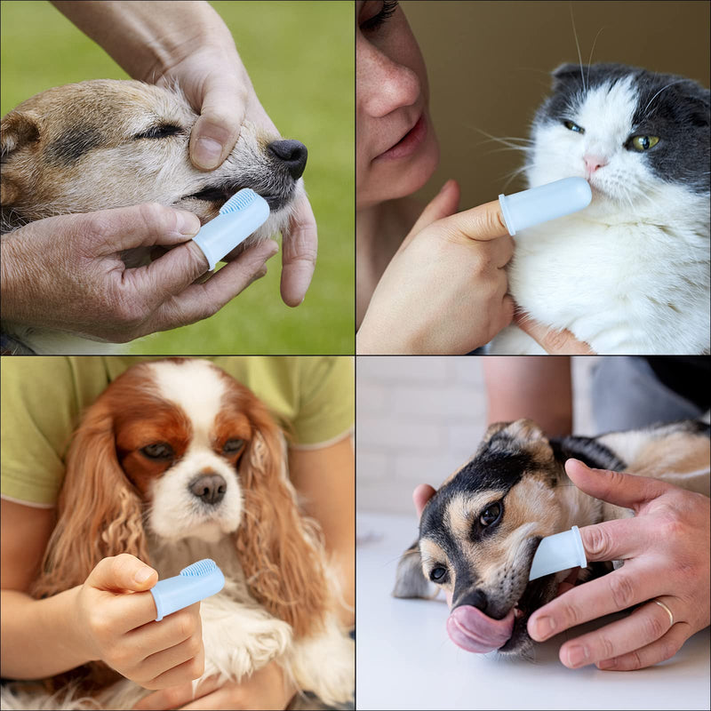 Dog Toothbrush Finger Toothbrush Silicone Pet Teeth Cleaning Toothbrush for Dogs Cat Dental Care Blue Pack of 8 - PawsPlanet Australia