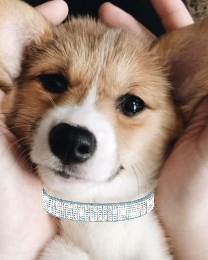 Petank Dog Collar for Small Medium Large Dogs，Small Dog Collar for Female Dogs, Bling Girl Dog Collars, Pink Dog Collar, Rhinestone Puppy Collars (S, Light Blue) S - PawsPlanet Australia