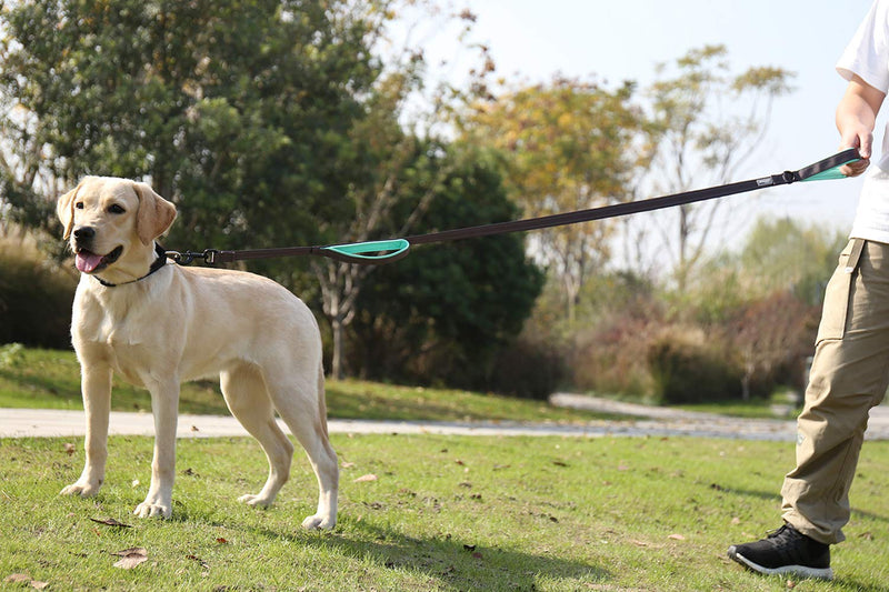 [Australia] - Vivaglory Dog Leash Traffic Padded Two Handles, Heavy Duty Reflective Leashes for Control Safety Training, Walking Lead for Small to Large Dogs 6 FT x 1" Wide Grey 