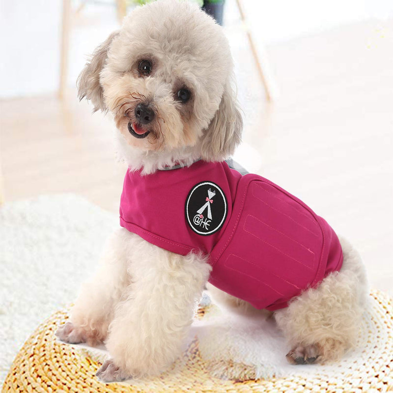 Dog Anxiety Relief Coat,Lightweight Wrap Anxiety Jacket Shirt for Anxious Pets Keep Calming Comfort (Grey, XS) Grey - PawsPlanet Australia