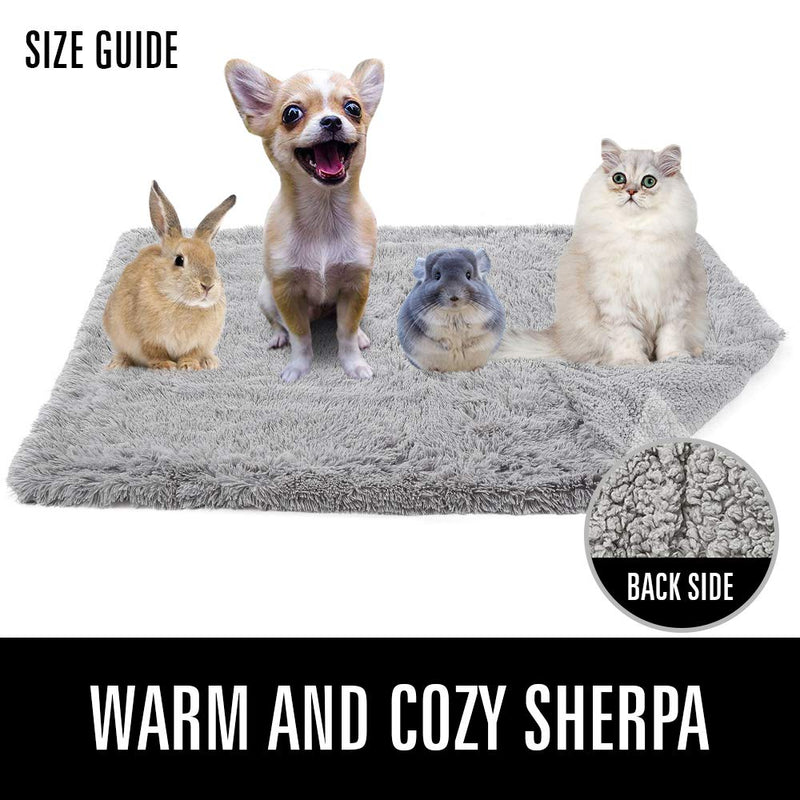 LOCHAS Luxury Velvet Fluffy Dog Blanket, Extra Soft and Warm Sherpa Fleece Pet Blankets for Dogs Cats, Plush Furry Faux Fur Puppy Throw Cover Small(20''x30'') Cream White - PawsPlanet Australia