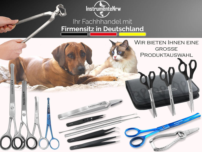 Dog Scaler Tartar Remover Teeth Cleaner for Pets - Wing Shape Left and Right Made of Stainless Steel for Teeth Cleaning Dental Care - PawsPlanet Australia