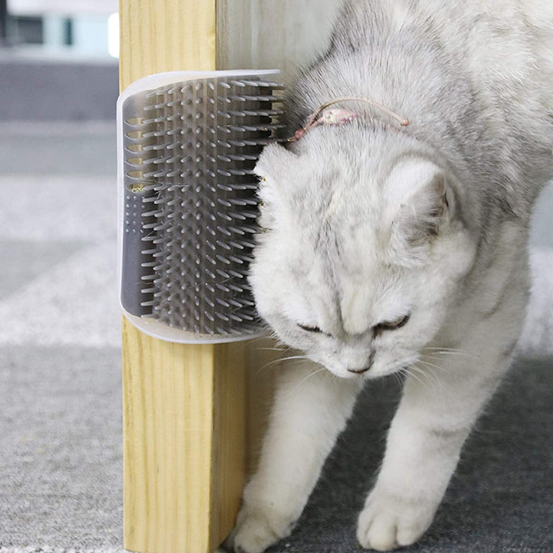 Aisoway 4 pieces cat brush wall corner, self groomer cat, massage corner cat, cat brush comb with catnip for long hair short hair cat massage - PawsPlanet Australia