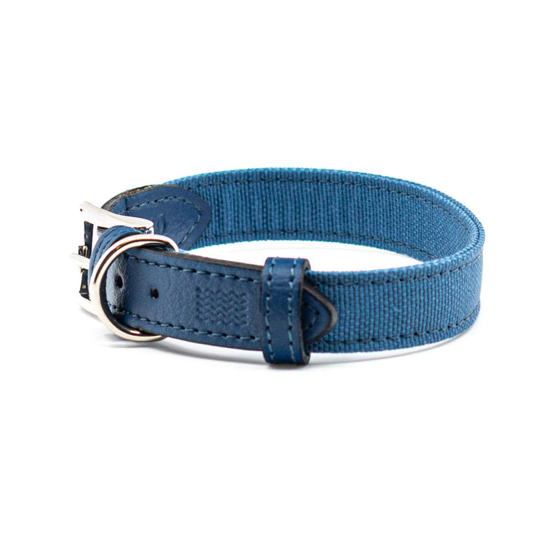 Project Blu Eco Friendly E-Leather Dog Collar, Sustainable and Recycled Pet Collar (Small, Monterey) Small - PawsPlanet Australia