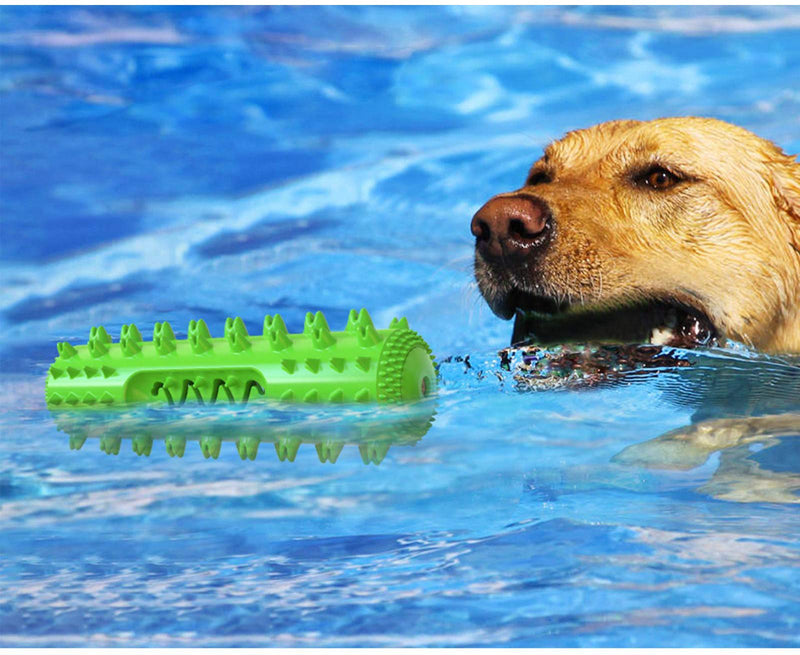 Dog Chew Toys for Aggressive Chewers Dog Mloowa Toothbrush & Squeaky Chew Toys Extra Tough Durable Strong， Meet The Mechanical Design of The Dog’s Mouth Grass green - PawsPlanet Australia