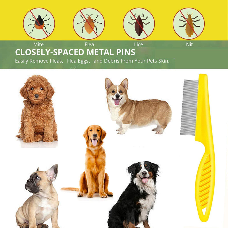 weback Flea Comb for Dogs, Lice Combs,Tick Comb, Cat flea Combs with Durable Teeth for Removing Tear Stains, Fleas, Dandruff, Lice 4PCS-A - PawsPlanet Australia