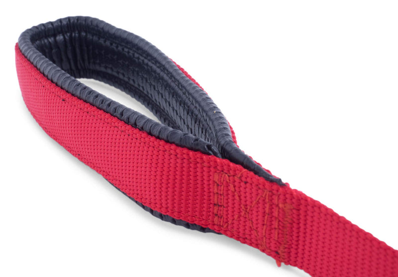 Petface Padded Nylon Dog Lead, Small, Red - PawsPlanet Australia