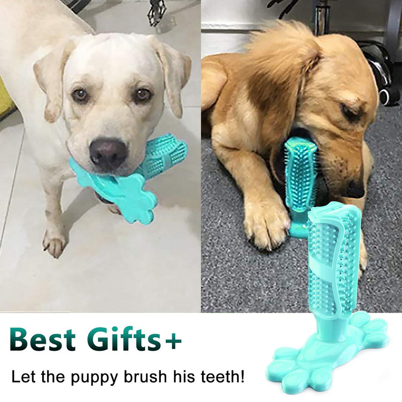 LQRLY Dog Chew Toy, Dog Toothbrush Toy Dental Care Teeth Cleaning Dog Chewing Toy - PawsPlanet Australia