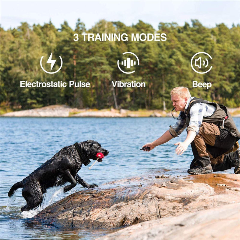 [Australia] - Dog Training Collar 2 In 1 Automatic Dog Bark Collar - Rechargeable Dog Remote Collar w/3 Training Modes, Beep, Vibration, 100% Waterproof Training Collar, Up to 1000Ft Remote Range for 2 Dogs 