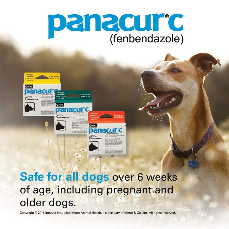 Panacur C Canine Dewormer (Fenbendazole), 4 Gram - PawsPlanet Australia