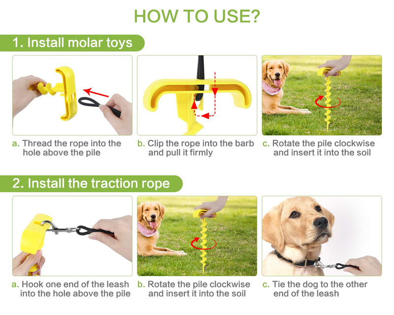[Australia] - Pecute Dog Tie Out Cable and Stake, 3 in 1 Dog Molar Bite Toys Portable Dog Chew Toys, Outdoor Dog Traction Rope Pile Dog Leash Tug-of-War Dog Toys, Tough and Bite-Resistant, Molars, Teeth Cleaning 