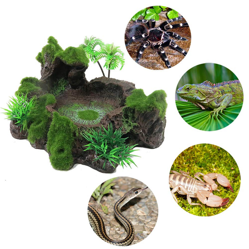 MAGIIN Artificial Tree Trunk Design Food Bowl, Plastic Reptile Tank Decor Resin Reptile Platform for Terrarium Habitat Accessories - PawsPlanet Australia