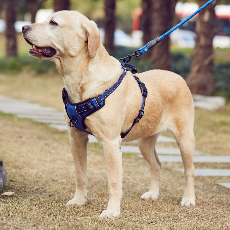 Dog Harness with Dog Leash,No-Pull Dog Harness Safe Reflective Vest Harness Comfortable and Adjustable Oxford Vest with Easy Control Handle for Medium Large Dogs Outdoor Training Walking (Black, S) Black - PawsPlanet Australia