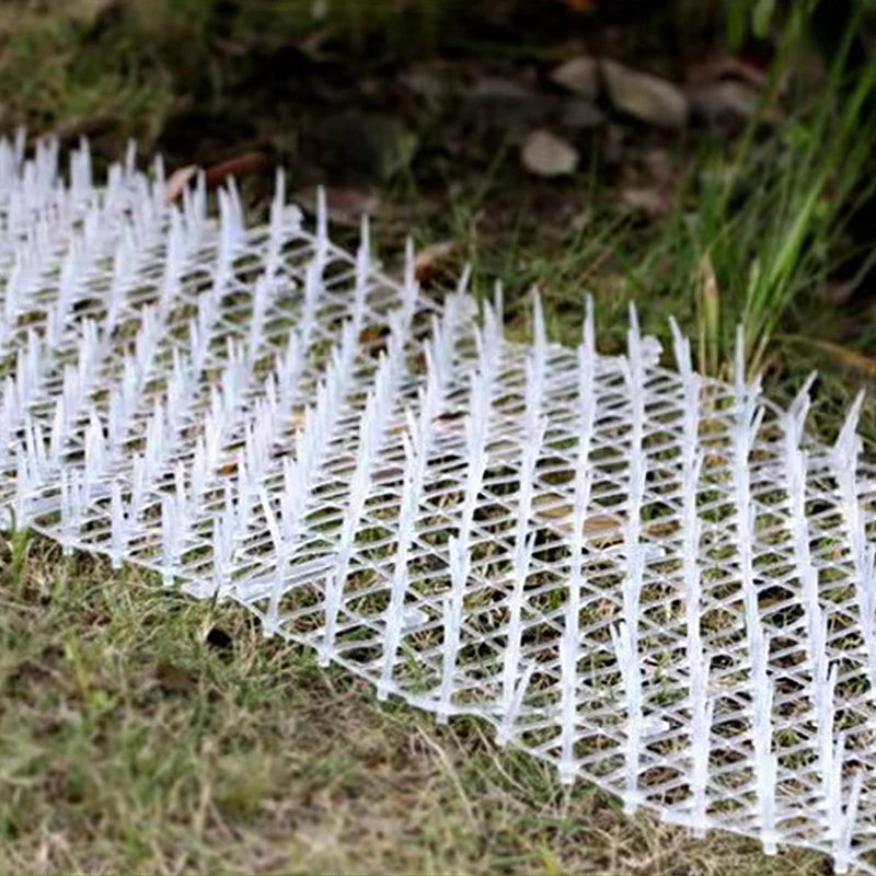 Transparent cat repellent mat, 30 x 200 cm mat with spikes for peaceful defense against cats and other animals, thorn grid animal barrier, cat mat for garden, fence, anti-cats network (white). - PawsPlanet Australia