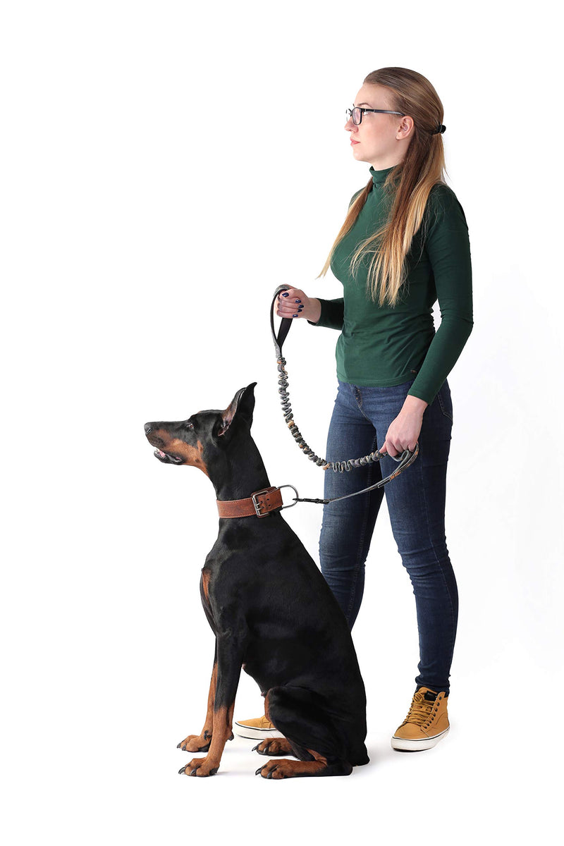 [Australia] - PetSpy Two Handle Dog Leash with Shock Absorbing - Improved Control & Training Bungee Pet Lead 6 ft Green 