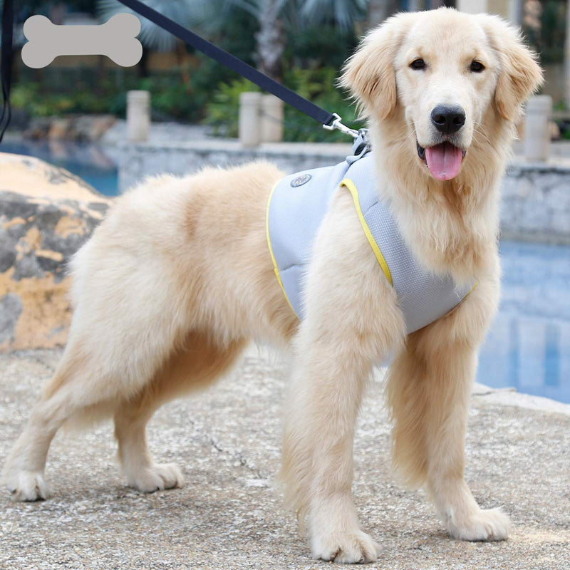 Rantow Dog Cooling Harness - Reflective Pup Cooler Vest Outdoor Training Walking Cool Harness - 7 Sizes for Small Medium Large Pet Dogs (L) L - PawsPlanet Australia