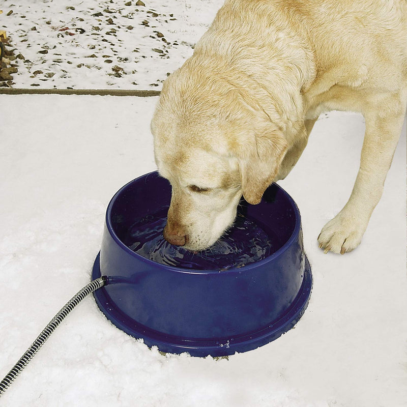 [Australia] - K&H Pet Products Thermal-Bowl Heated Cat & Dog Bowl Recyclable Box 