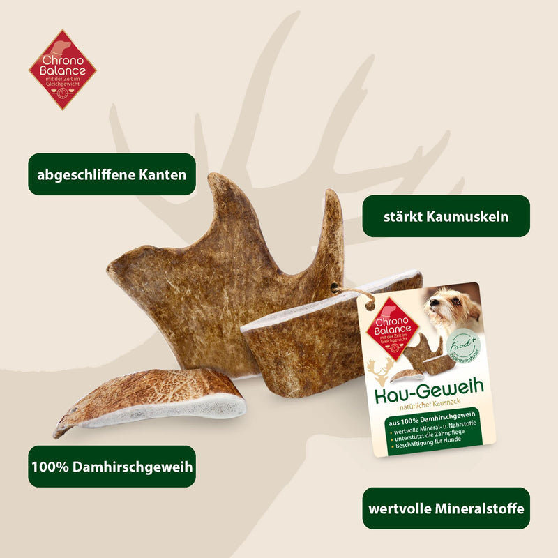 ChronoBalance® Chewing Antlers Fallow Deer for Dogs: M Chew Toy 100% Antler Drop Bar: Chew Bar Dog Toy for Dental Care, Natural Chew Snack, Minerals & Nutrients M (Pack of 1) - PawsPlanet Australia