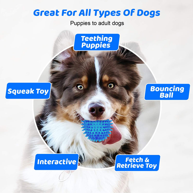 Rubber Ball Toy for Dogs | Knobby Spiky Bouncing Sphere | Guaranteed | Aggressive Chewer Pet Toy | All Breeds Small to Large - PawsPlanet Australia