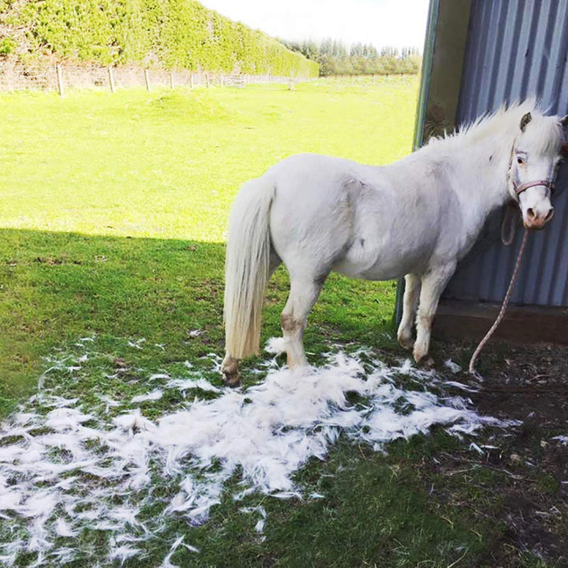 EquiGroomer Self-Cleaning Deshedding Grooming Horse Tool Brush Curry Comb Gently Removes Shedding Loose Hair, Dust, Dander Effectively and Painlessly. Safe for Sensitive Skin Blue - PawsPlanet Australia