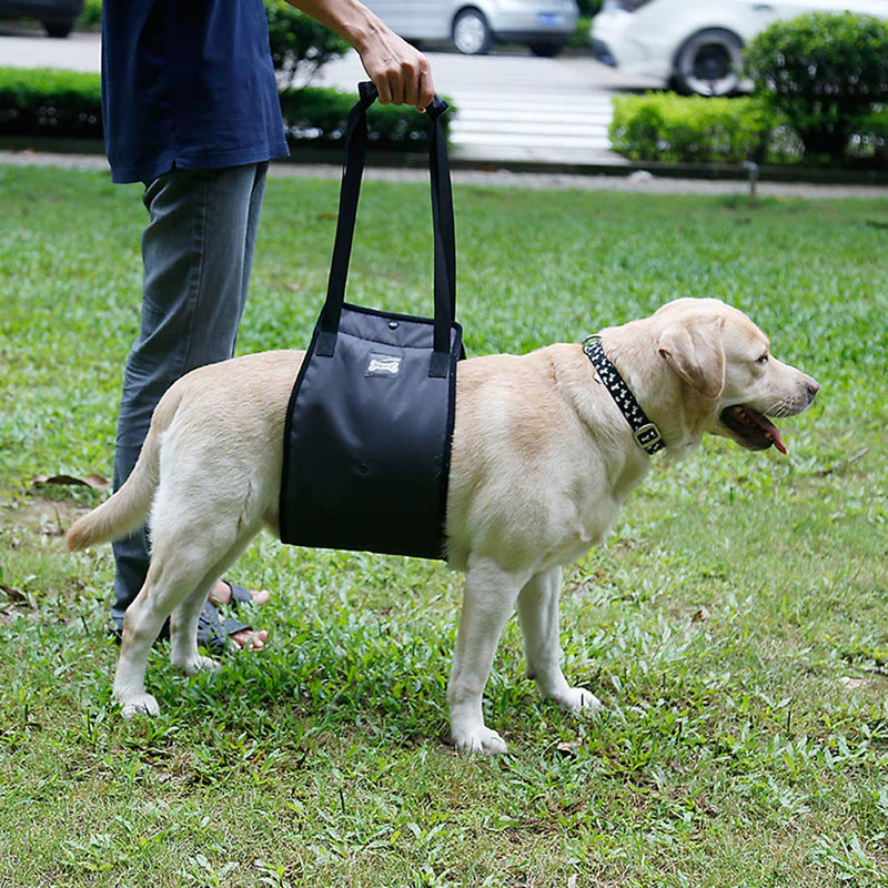 [Australia] - PENIVO 4 Sizes Dog Lift Support Harness Walking Vest Canine Aid Assist Sling Climb Stairs Rehabilitation for Canine Assist Elderly Sick Injured Support Sling Helps Dogs Legs XL Grey 