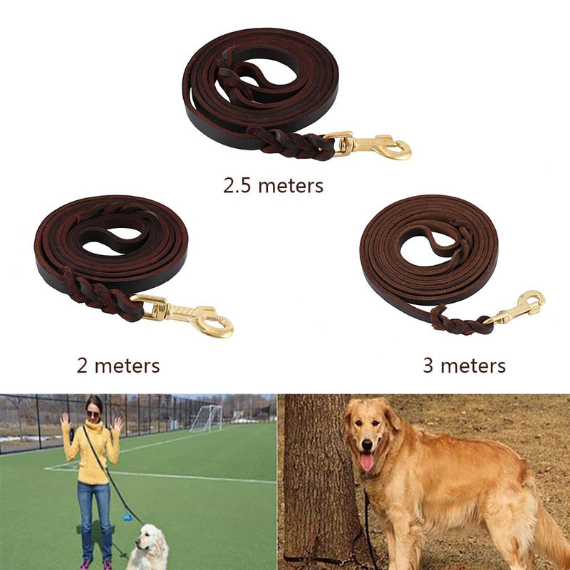 [Australia] - LITTLEGRASS 6/8/10 ft Braided Leather Dog Leash for Strong Medium Large Dogs, Premier Leather Heavy Duty Training Leash 10FT 