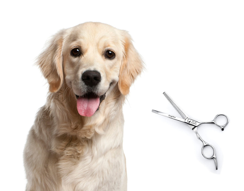 Dog scissors, one-sided toothed thinning scissors made of metal for dogs, cats, pet grooming scissors PRECORN - PawsPlanet Australia