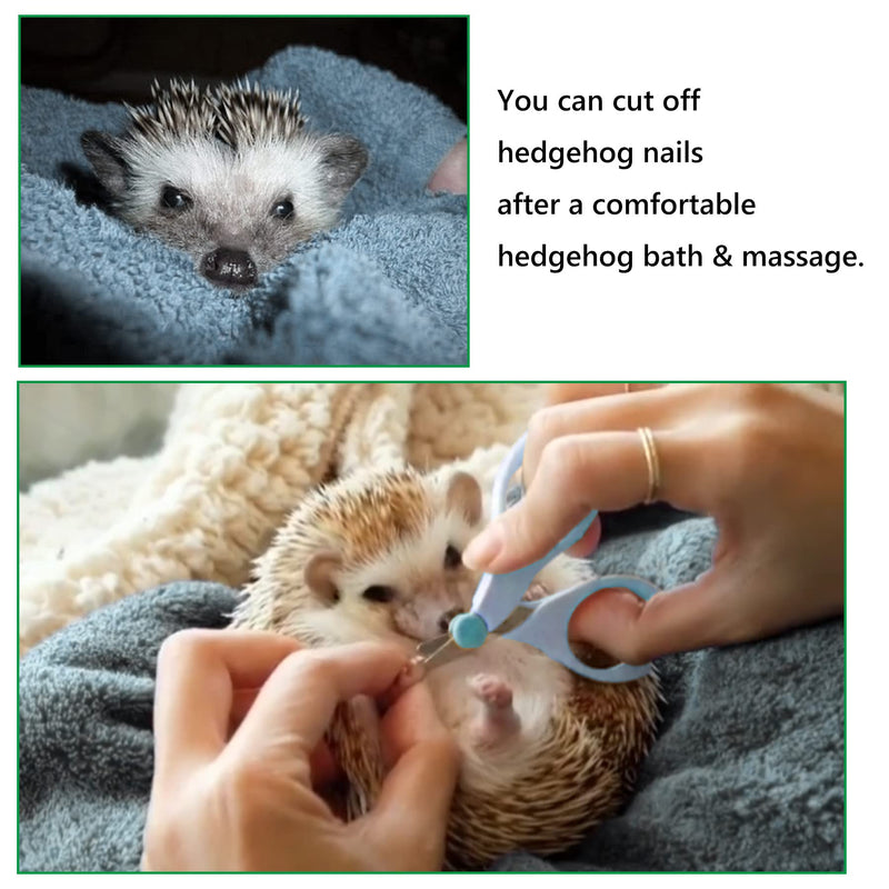 Foldable Hedgehog Bath Supplies Foldable Hedgehog Bathtub, Hedgehog Nail Clippers, 2PCS Bathing Brush, Bath Towel, Plastic Small Animal Swimming Pool, Guinea Pig Small Pet Sand Bath for Hedgehog - PawsPlanet Australia