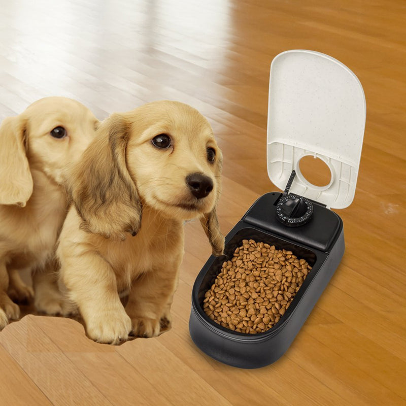 PAWISE Automatic Cat Feeders Automatic Dog Feeder,Dog / Cat Food Dispenser 1.5 Cup, Schedule Meal or Treat, with 48-Hour Timer 1.5 Cup-1 Meal - PawsPlanet Australia