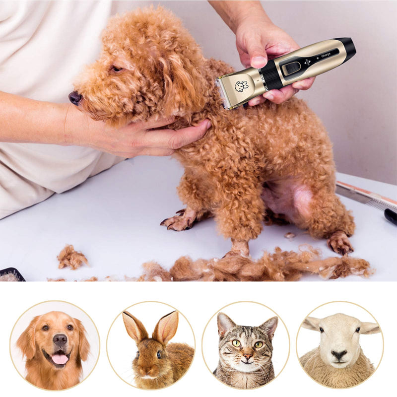 Dorakitten Dog Grooming Clippers for Pets - 12PCS Dog Grooming Kit Low Noise Professional Cat Clippers Rechargeable Electric Trimmer Set|Dog Clippers Shaving Tool Suitable for Animal - PawsPlanet Australia