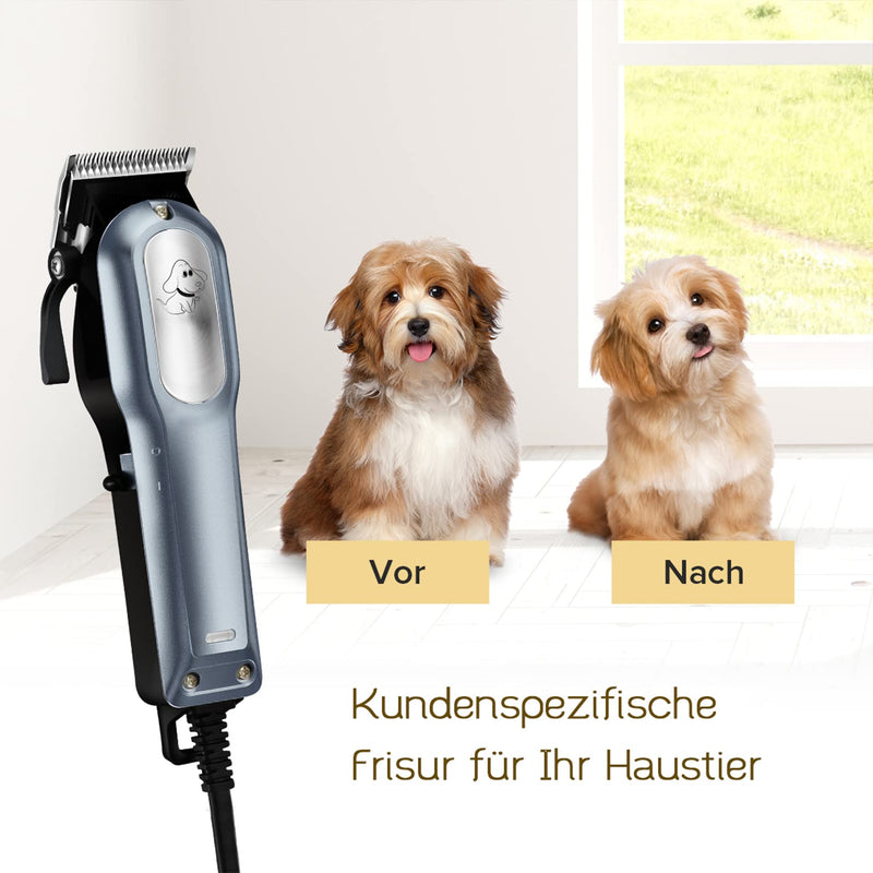 ANSTA Professional Hairdresser for Dogs and Cats, Easy to Use, Silent, with Scissors and Accessories, 8 Combs, 2.5m - PawsPlanet Australia