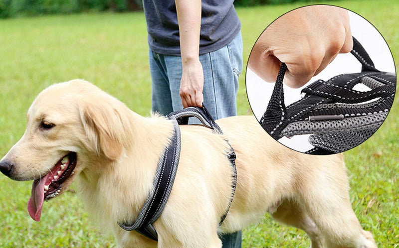 Tineer No Pull Dog Harness - Ultra Soft Breathable Padded Pet Harness Reflective Adjustable Chest Strap Outdoor Training for Dogs Easy Control Small Medium Large Dogs (S Chest:46-61cm) S Chest:46-61cm - PawsPlanet Australia