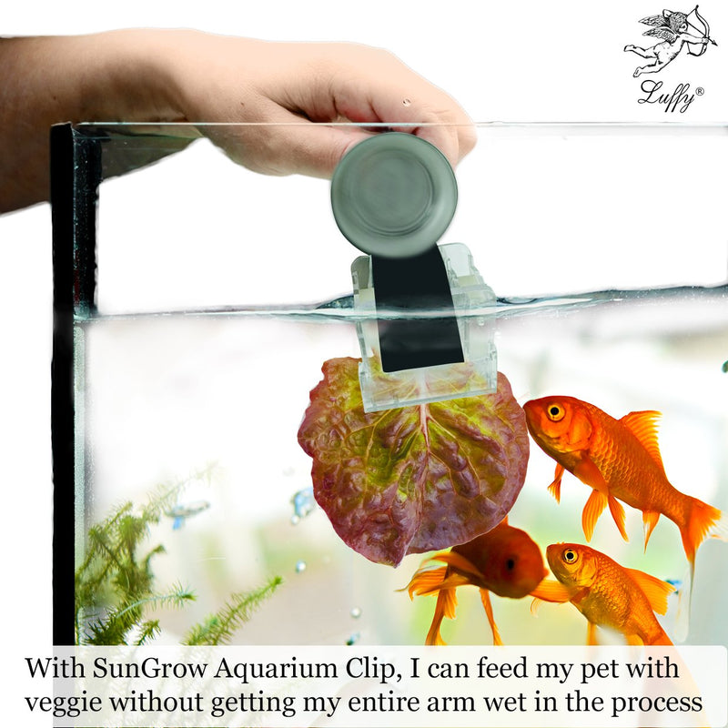 Luffy Aquarium Clip, 4x2 Inches, Plastic, No Metal Parts, Includes Strong Suction Cup, Holds Veggies, Algae, Seaweed Sheets, Betta Bed, Feeding Accessories - PawsPlanet Australia