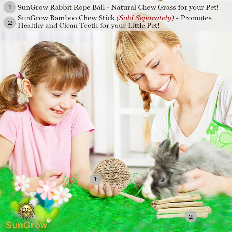 [Australia] - SunGrow Rabbit Rope Ball, Edible Teething Grass Ball, Chewable Toy, Nibbling, Foraging, Gnawing, Keeps Bunny’s Teeth Trimmed, Suitable for Guinea Pigs, Chinchillas & Other Pocket Pets, 1-pc 