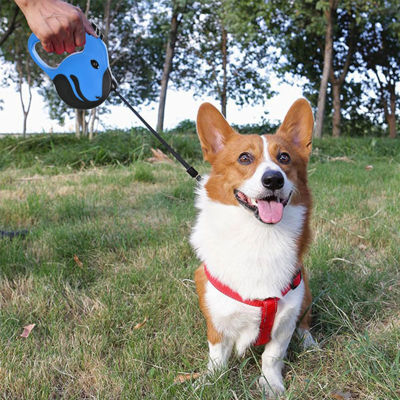 Extendable leash for dogs, retractable dog leash 5 m, retractable dog leash, dog leash, retractable dog leash, retractable dog leash with handle, dog leash, tangle-free retractable dog leash… blue-5m - PawsPlanet Australia