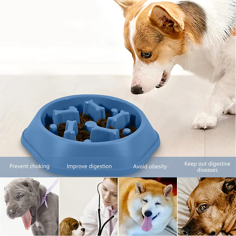 VEGCOO Slow Feeder Dog Bowl, Bloat Stop Dog Food Bowl with Feeding Spoon Cleaning Brush, Slow Eating Dog Bowl Interactive Fun Puzzle Feeder for Puppy Cat Pet (Blue) Blue - PawsPlanet Australia