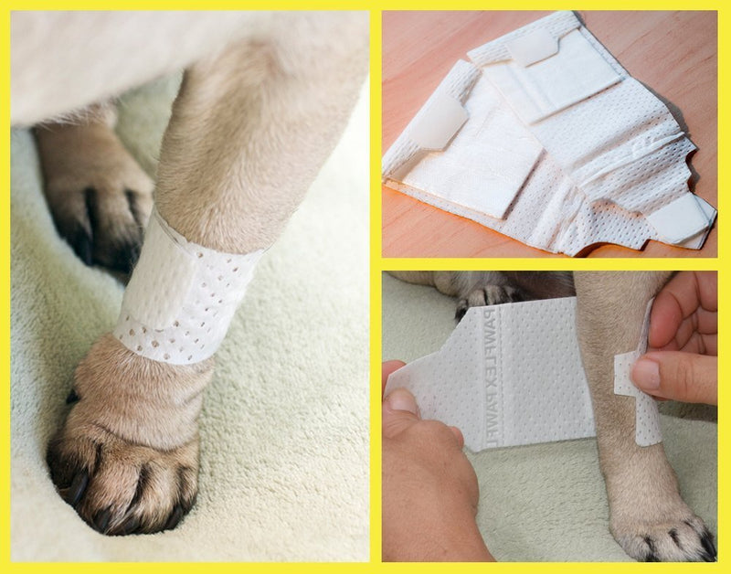 PawFlex Basic Leg Bandages for Dogs, Cats, Pets -First- aid Non Adhesive Fur Friendly, Soft Stretch Wound Care, hot Spots, Fungus, Adjustable Fastening Strap Value Pack XS 10-Pack - PawsPlanet Australia