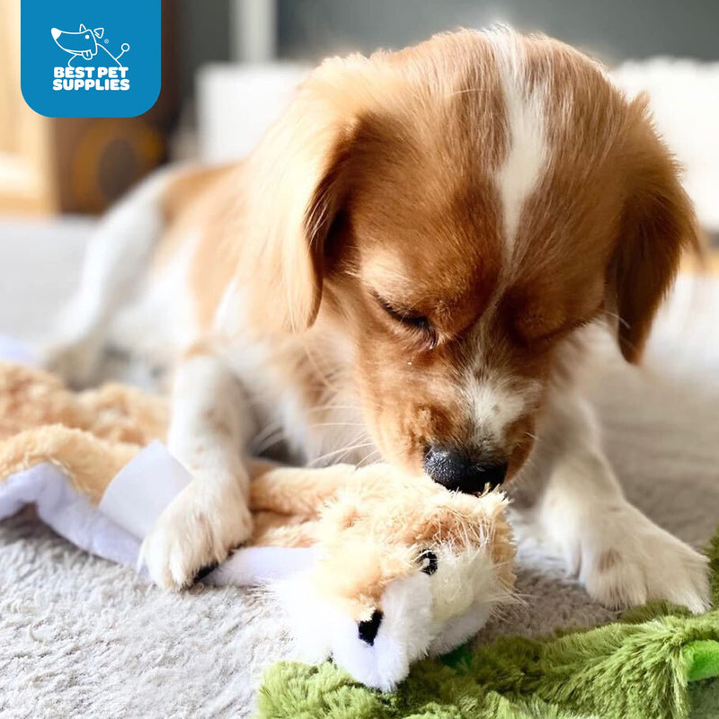 Best Pet Supplies 2-in-1 Fun Skin Stuffless Dog Squeaky Toy and Plush toys Small 1Wild Duck - PawsPlanet Australia