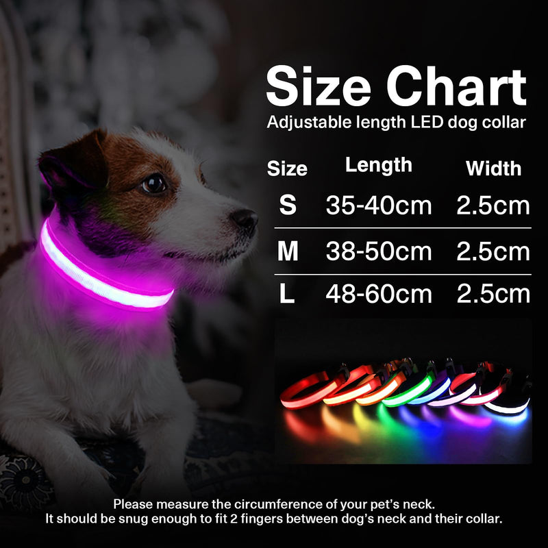 Light Up Dog Collar Rechargeable USB-C, LED Collar for Dogs Waterproof Dog Collar Luminous 7 Colors Flashing Light Adjustable Lightweight Collar Dogs for Small Medium Large Dogs, Purple SS(28-40cm/11-15.7inch) - PawsPlanet Australia