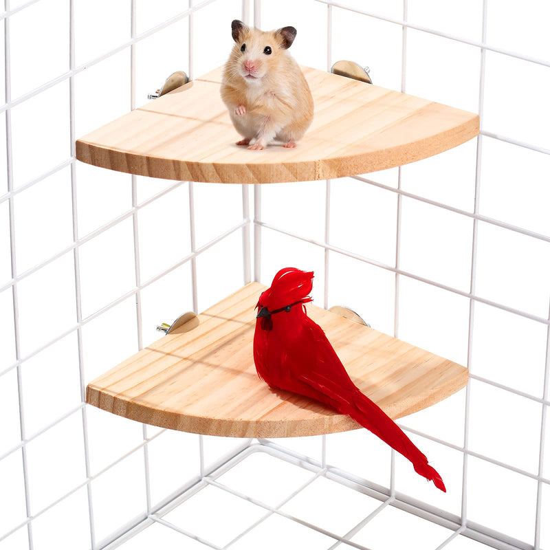 Sumind 2 Pieces Bird Stand Platform Bird Cage Platform Bird Perch Platform Fan-Shaped Wood Perch for Small Animals Bird Finches Hamster Parrot Gerbil Lovebird Parakeet Cage Accessories - PawsPlanet Australia